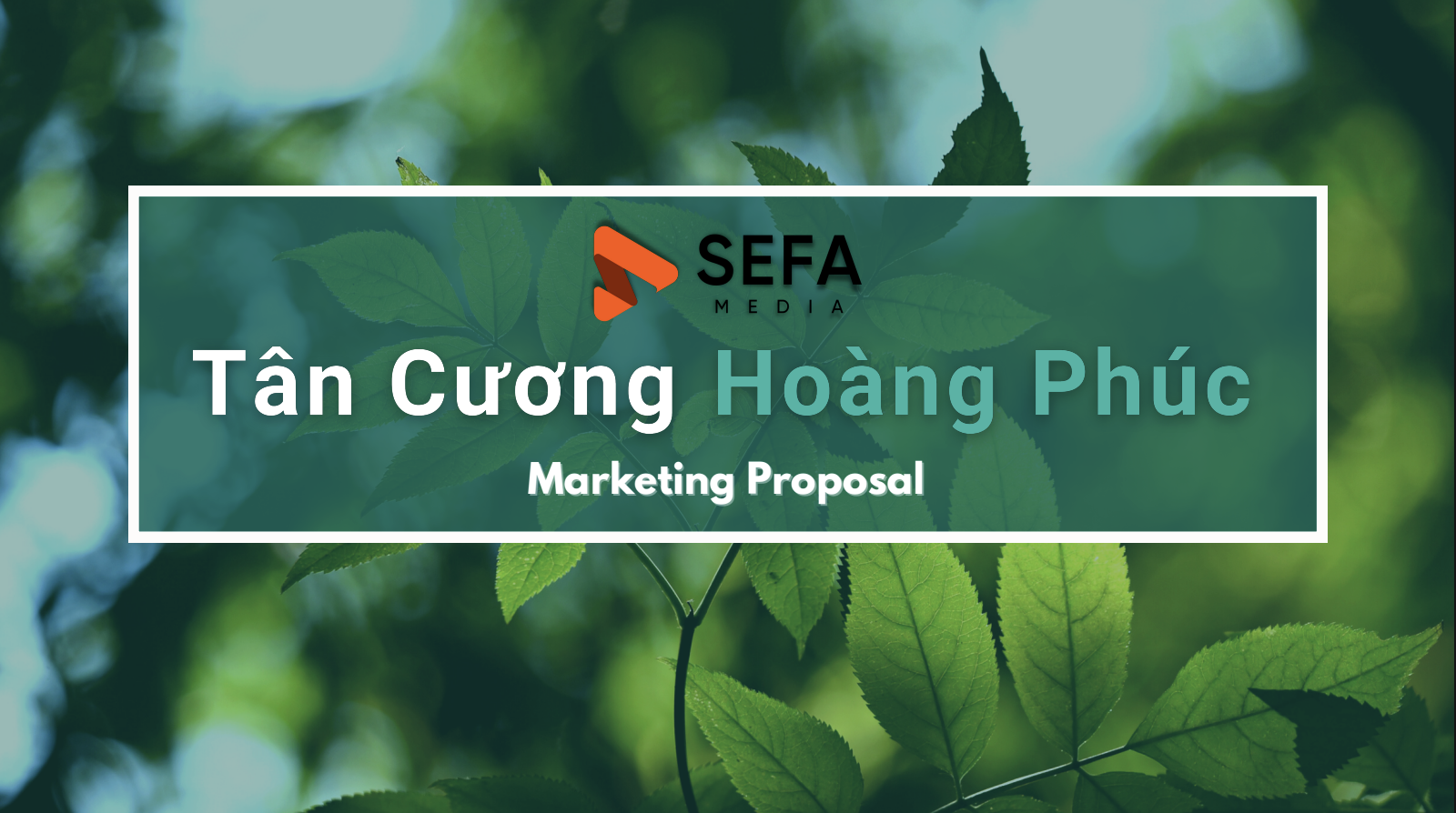 Tan Cuong Hoang Phuc Marketing Proposal preview